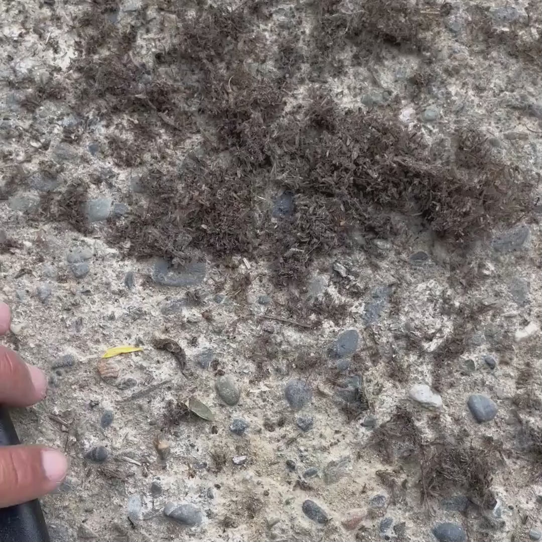 Willo, la borne anti-moustique